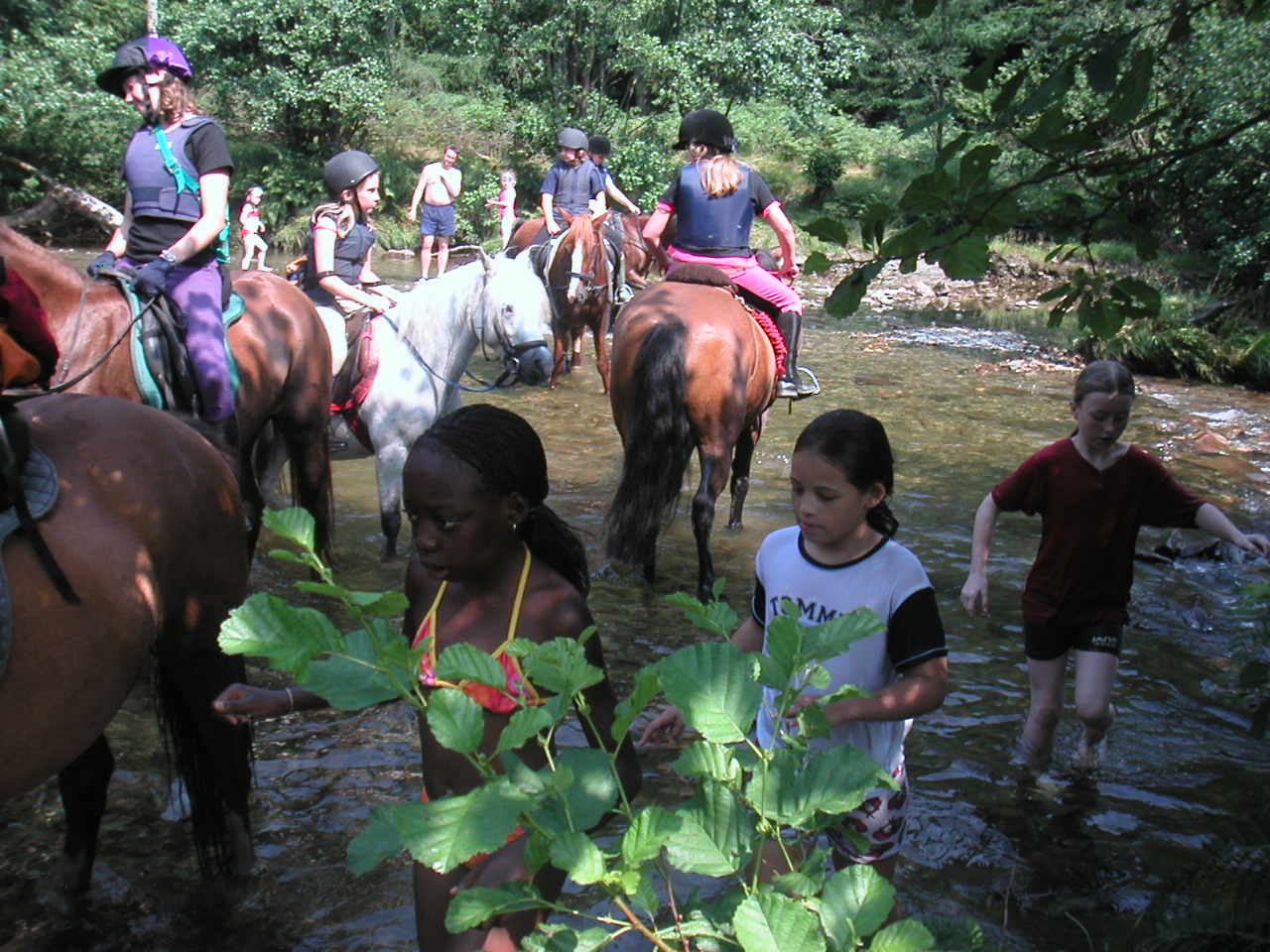 Washpool : un petit coin de paradis pour se mettre à l'eau